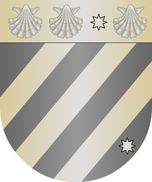 ESCUDO SIGUIENTE